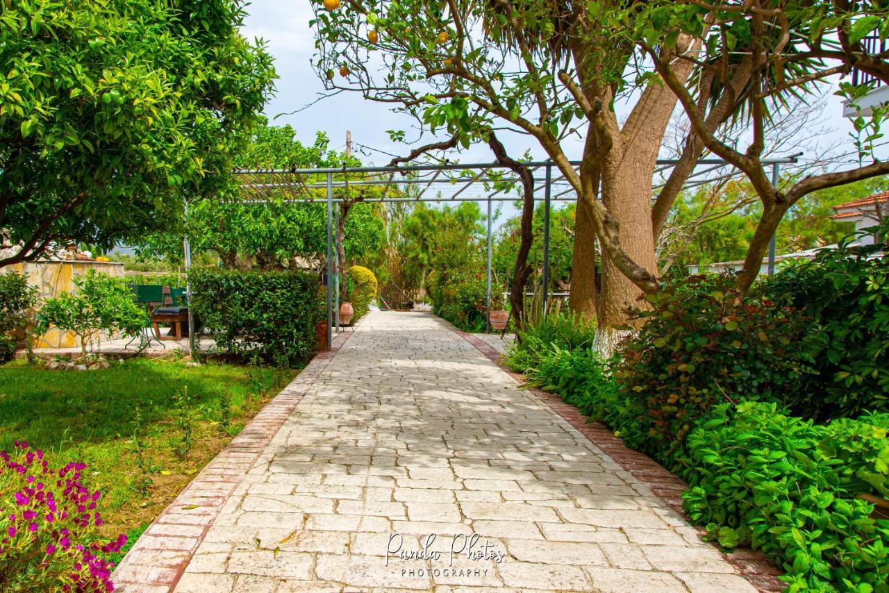 Zante Apts Laganas Bagian luar foto
