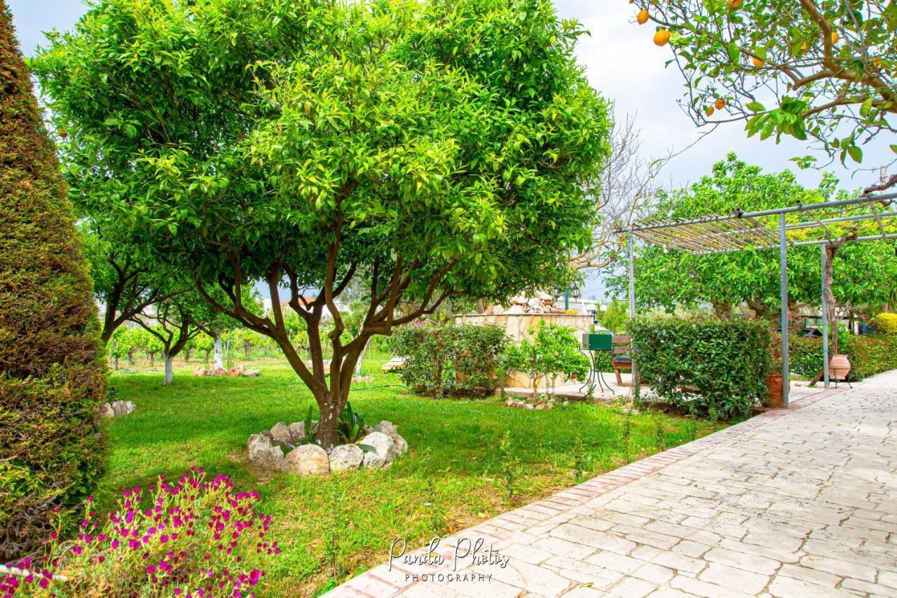 Zante Apts Laganas Bagian luar foto