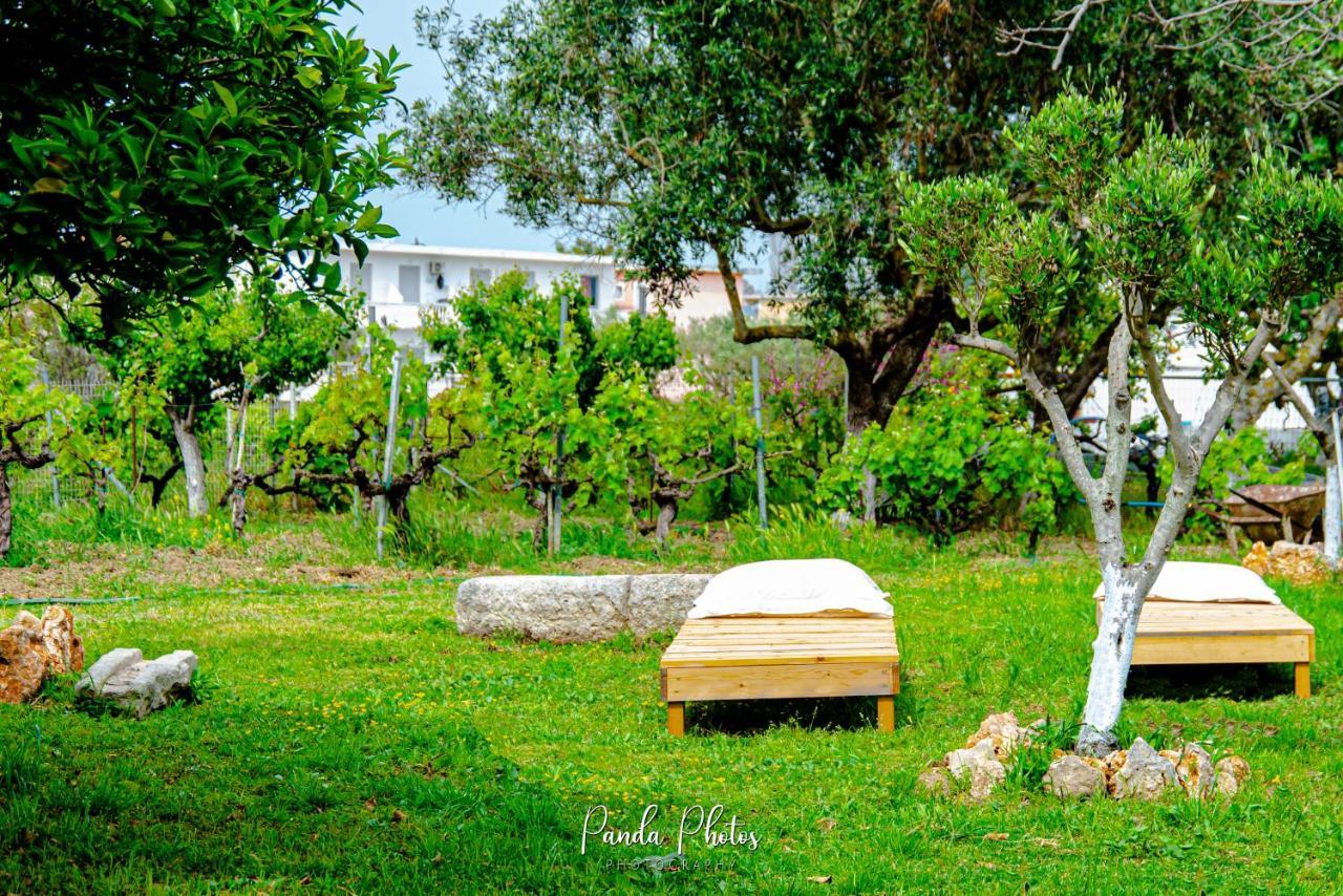 Zante Apts Laganas Bagian luar foto